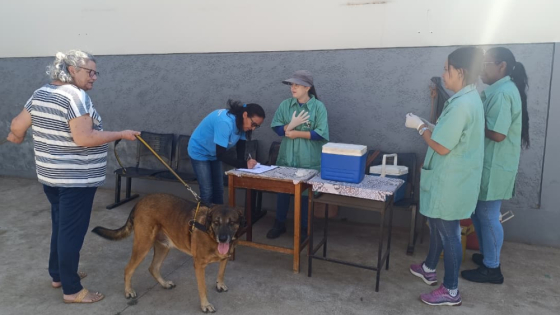 Acompanhe o cronograma de vacinação antirrábica de terça (16) a sábado (20) em Araxá