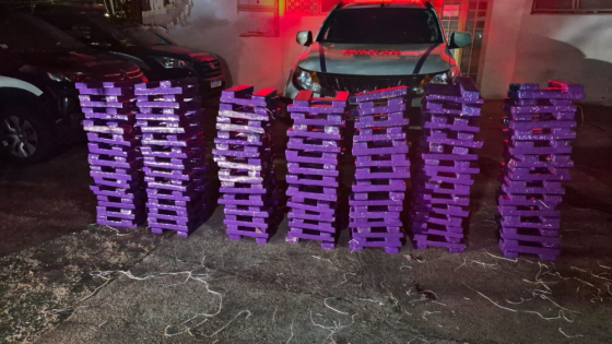 Polícia Militar apreende cerca de 300 quilos de maconha durante operação na BR-452 em Araxá