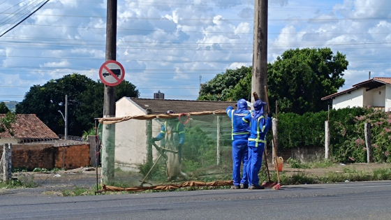 Serviços de capina, iluminação e manutenção atendem bairros e zona rural nesta quarta-feira em Araxá