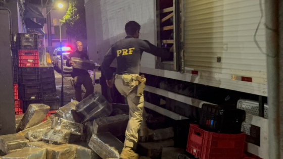 PRF e Polícia Militar Rodoviária apreendem mais de 3 toneladas de maconha na BR-262, em Bom Despacho