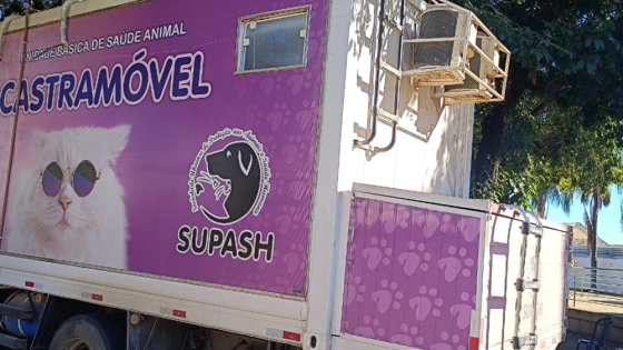 Castramóvel realiza cirurgias de esterilização em Araxá para animais previamente cadastrados