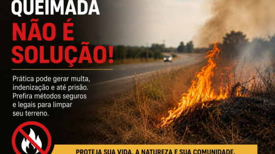 Atear fogo para limpar terrenos pode gerar multa, indenização e até prisão